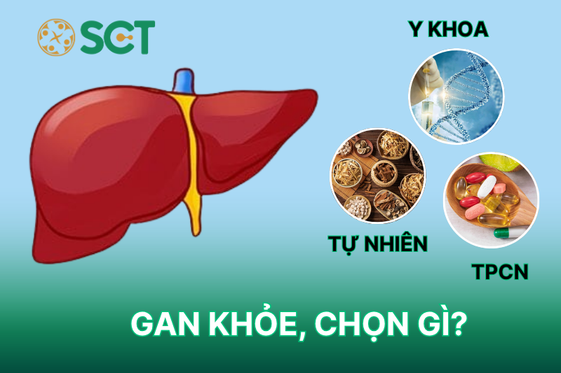 Nên chọn cách nào để thải độc gan