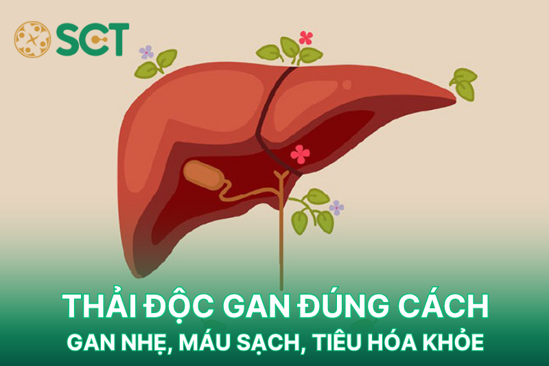 Tác dụng của thải độc gan