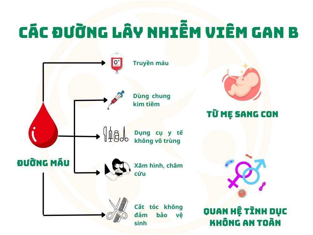 CAC DUONG LAY NHIEM VIEM GAN B
