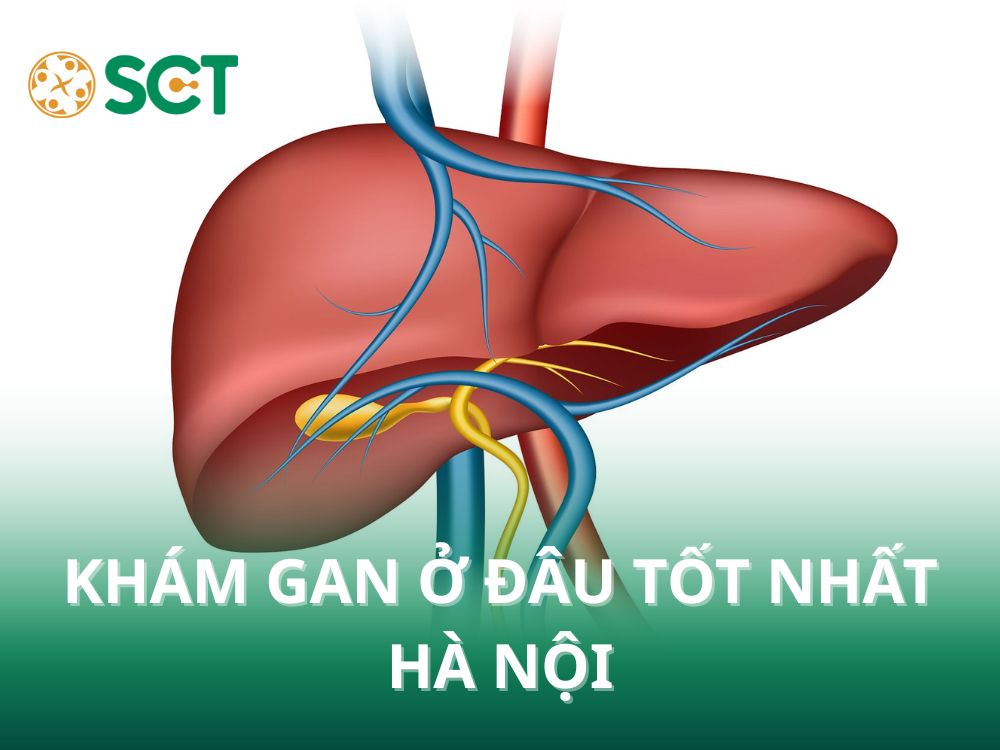KHAM GAN O DAU TOT NHAT HA NOI 1 1