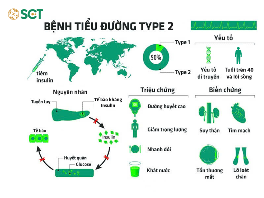 Nguyên nhân triệu chứng, biến chứng của tiểu đường tuýp 2