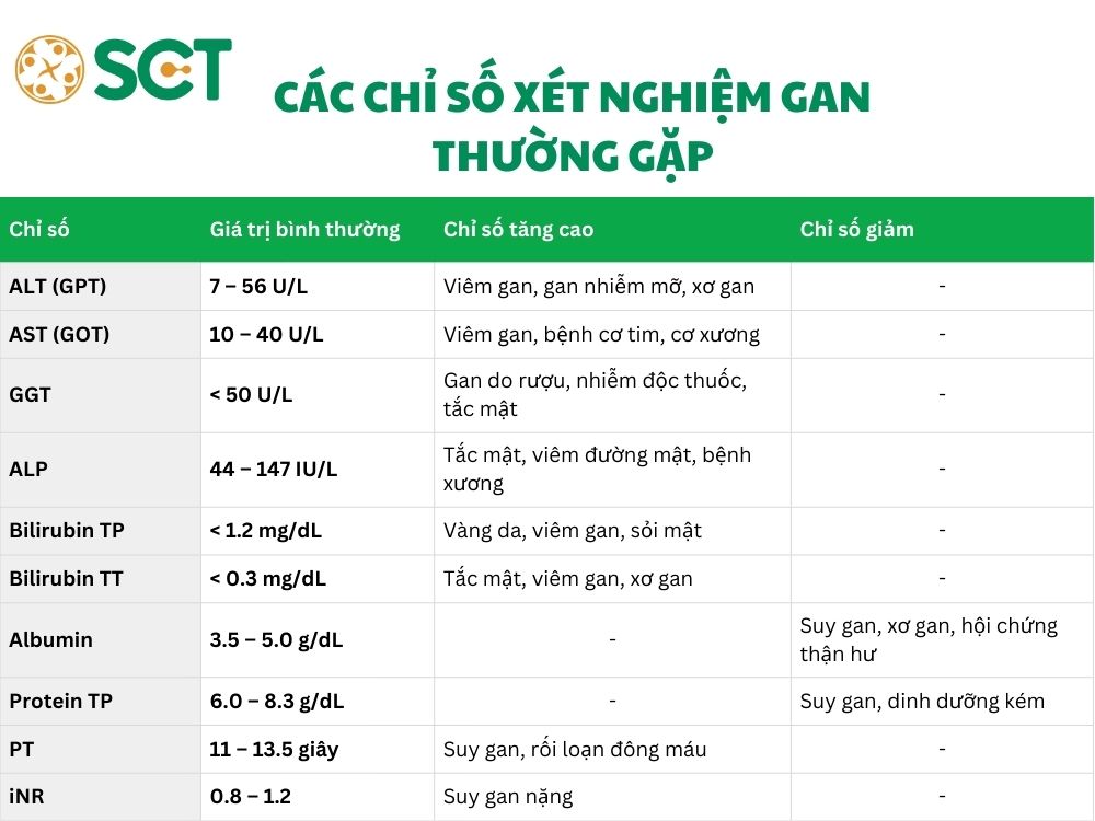 cac chi so xet nghiem chuc nang gan thuong gap