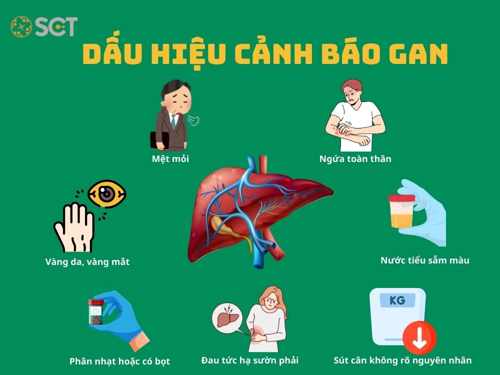 dau hieu canh bao benh ly gan