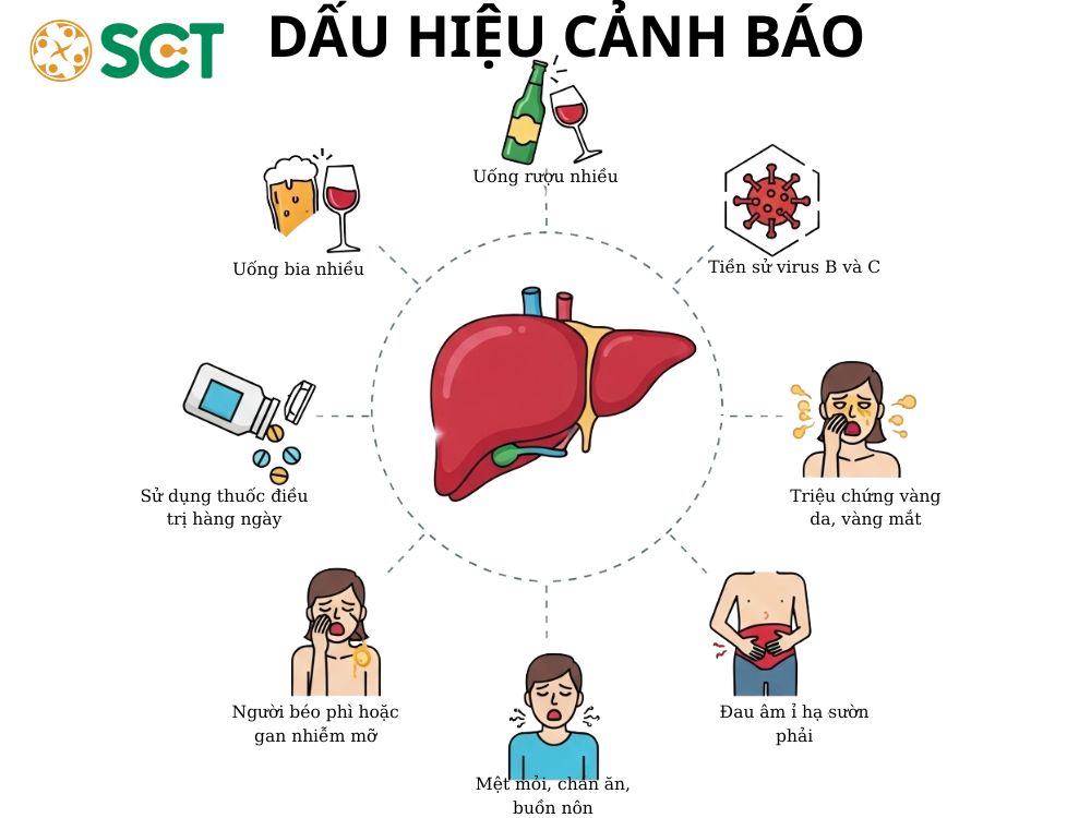 dau hieu canh bao khi bi benh gan