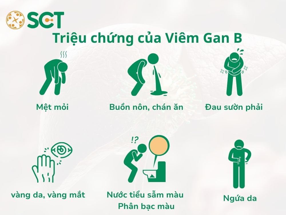 trieu chung cua viem gan b