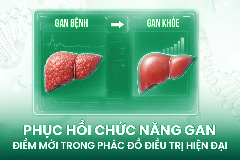 PHỤC HỒI CHỨC NĂNG GAN VỚI PHÁC ĐỒ HIỆN ĐẠI: 4 ĐIỂM KHÁC BIỆT