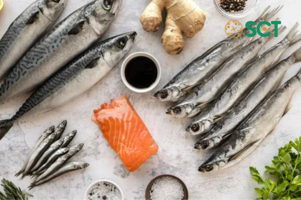 Những loại cá giàu Omega-3 thực phẩm tốt cho xương khớp