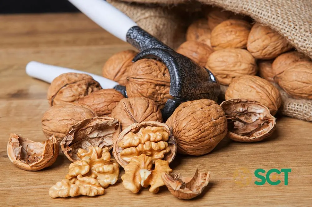 Hạt óc chó thực phẩm tốt cho xương khớp