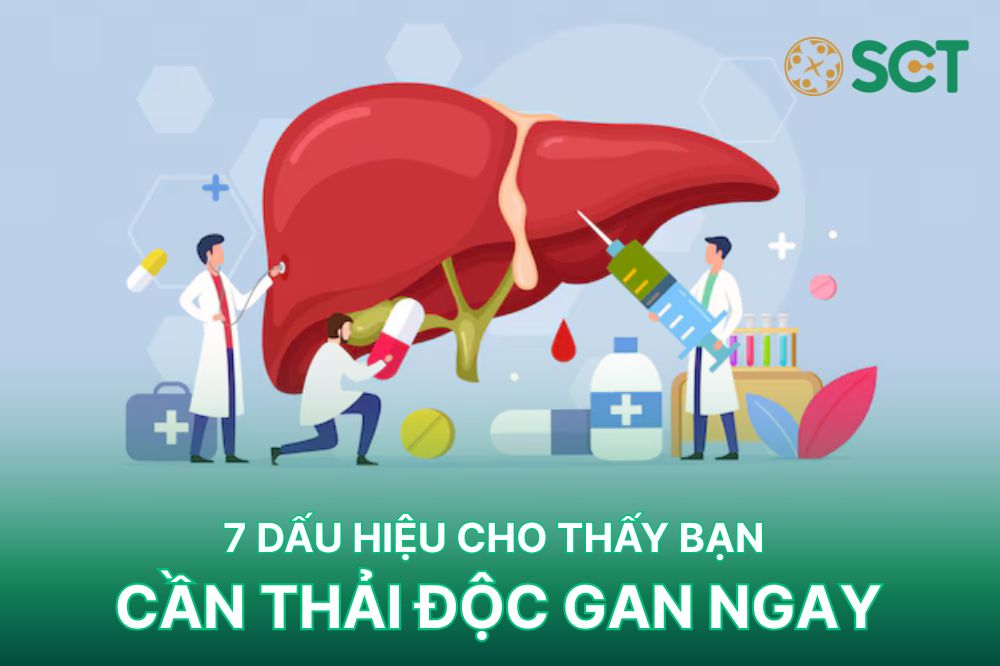 Trang chủ 30 7 dấu hiệu cần thải độc gan