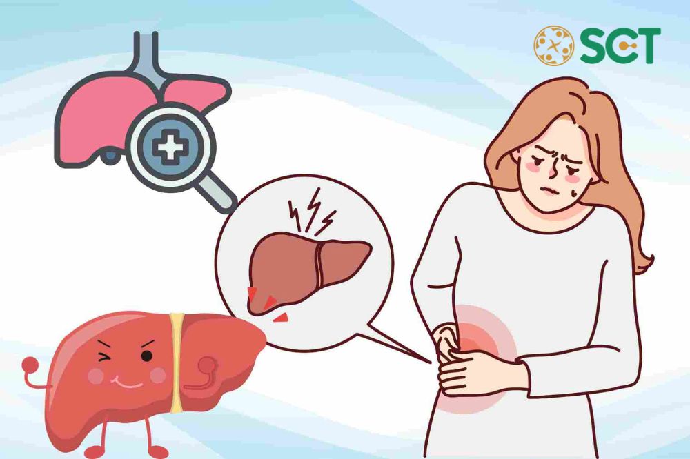 7 Dấu Hiệu Cần Thải Độc Gan Ngay Lập Tức? Chuyên Gia Cảnh Báo 1 Tại Sao Cần Thải Độc Gan Thường Xuyên